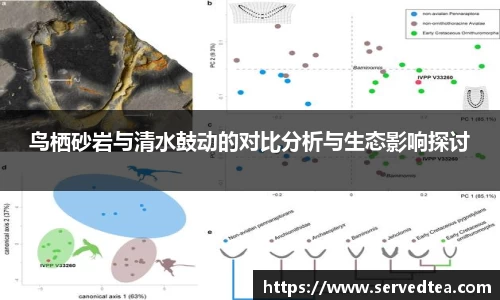 鸟栖砂岩与清水鼓动的对比分析与生态影响探讨